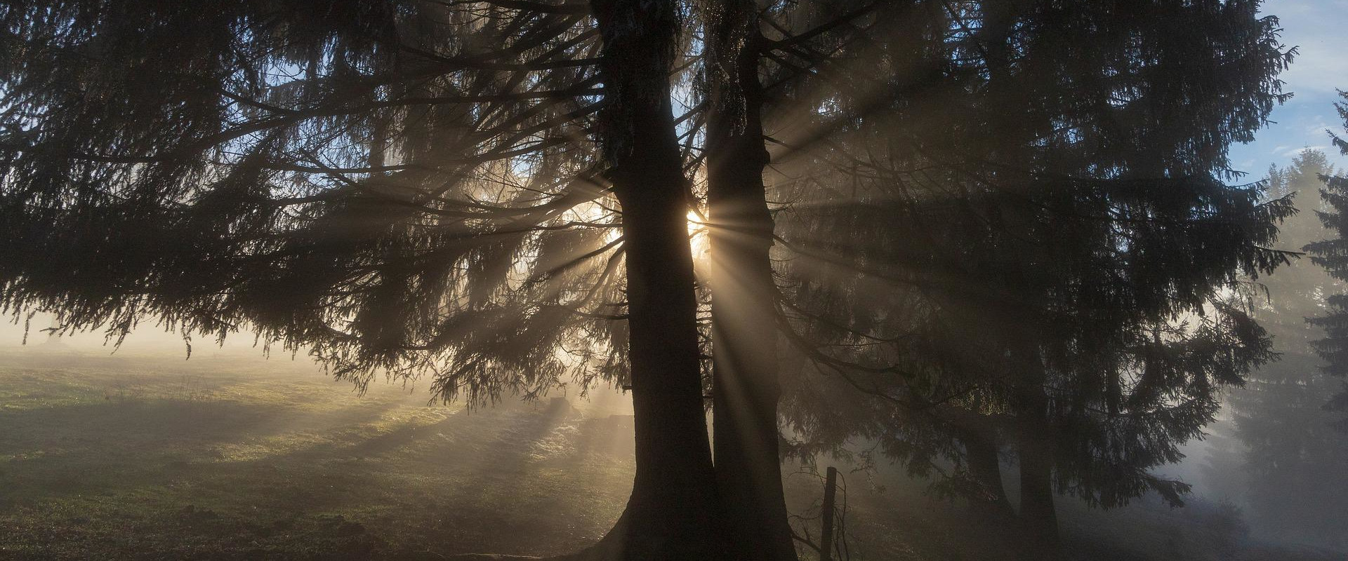 Waldbaden zur Sonnenwende